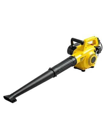 Professional Blower
